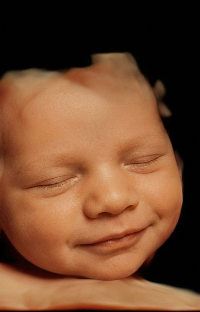 Real View photorealistic result